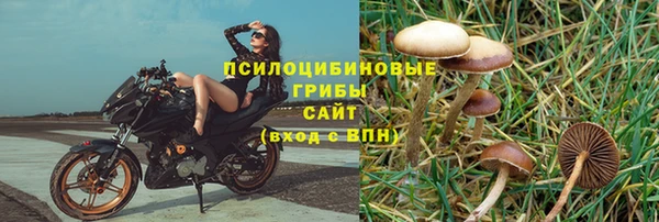 прущий лед Алзамай